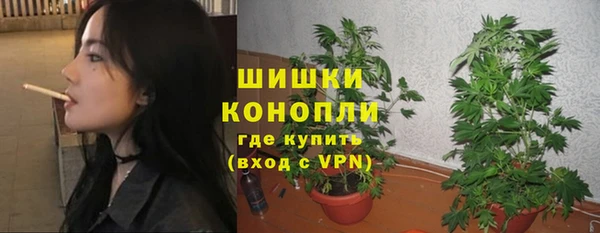 стаф Баксан