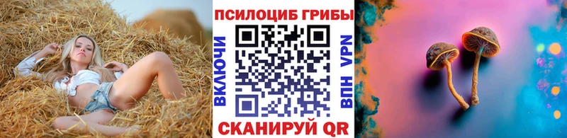 блэк спрут ссылка  где купить   Учалы  Псилоцибиновые грибы прущие грибы 